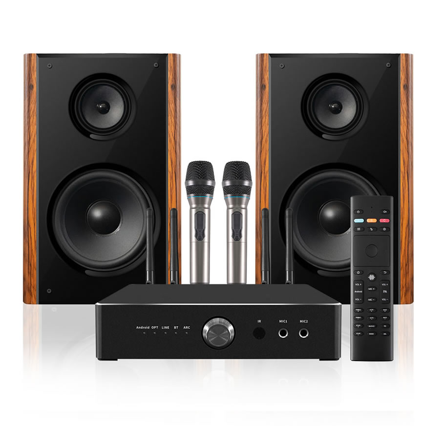 Altavoz Profesional de Karaoke Doméstico 300W Alta Potencia | iHomeLife-HLQ Audio HiFi para KTV Casa, Cine en Casa y Pequeñas Actuaciones