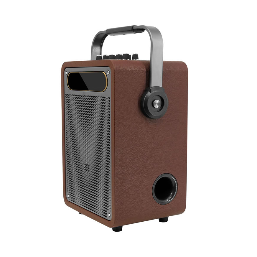 Nouvelle enceinte karaoké portable (enceinte spéciale pour la performance d'instruments de musique et le chant)