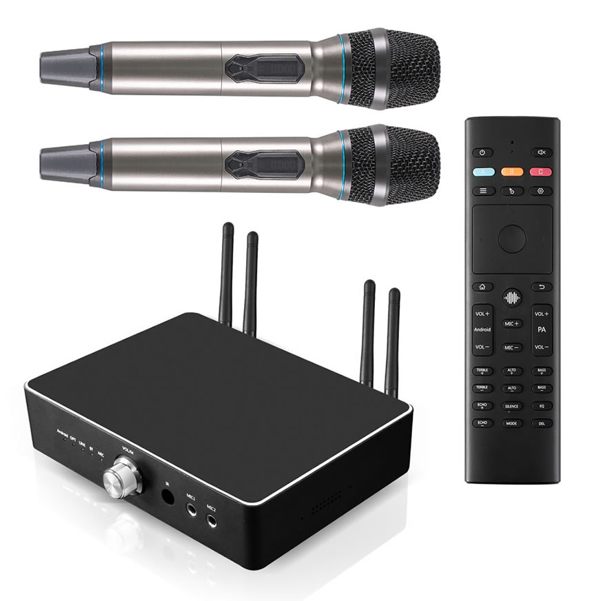 Karaoke amplifier